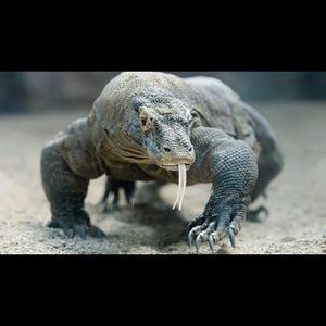 Meet your Posher, Danny